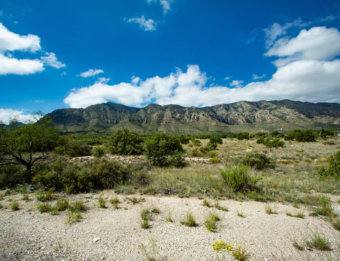 Noah Jigsaw Puzzle Guadalupe Mountains National Park, Texas, USA 1000 Pieces