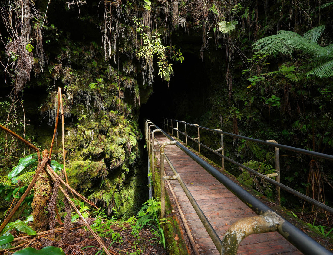 Noah Jigsaw Puzzle Bridge surrounded by ferns leading into the Thurston lava tube in the Kilauea crater in the Hawaiian Volcanoes National Park on the Big Island of Hawai'i in the Pacific Ocean 1000 Pieces