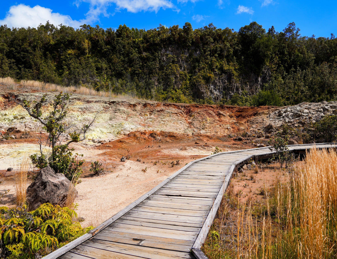 Wooden boardwalk on the Sulphur Banks trail in the Kilauea crater in the Hawaiian Volcanoes National Park on the Big Island of Hawai'i in the Pacific Ocean 1000pc Puzzle