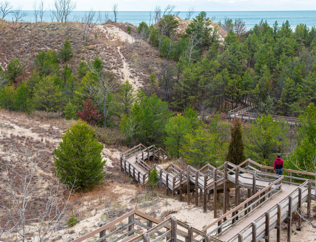 Noah Jigsaw Puzzle Indiana Dunes National Park Scenery 1000 Pieces