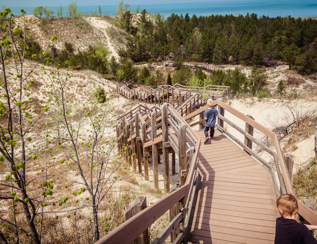 Noah Jigsaw Puzzle Boardwalk steps down a dune at Indiana Dunes National Park 1000 Pieces