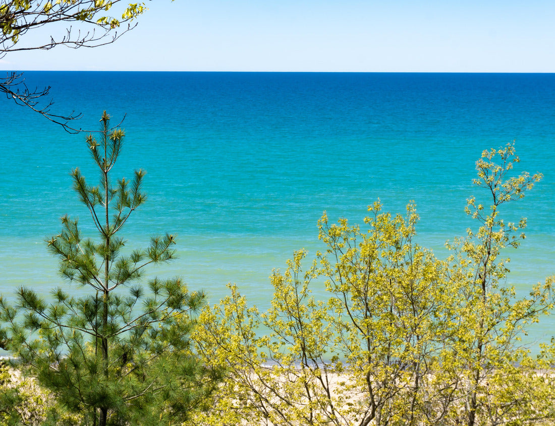 Noah Jigsaw Puzzle Indiana Dunes National Park, Indiana, USA. The views of Lake Michigan and the sand dunes are popular beach and hiking attractions 1000 Pieces