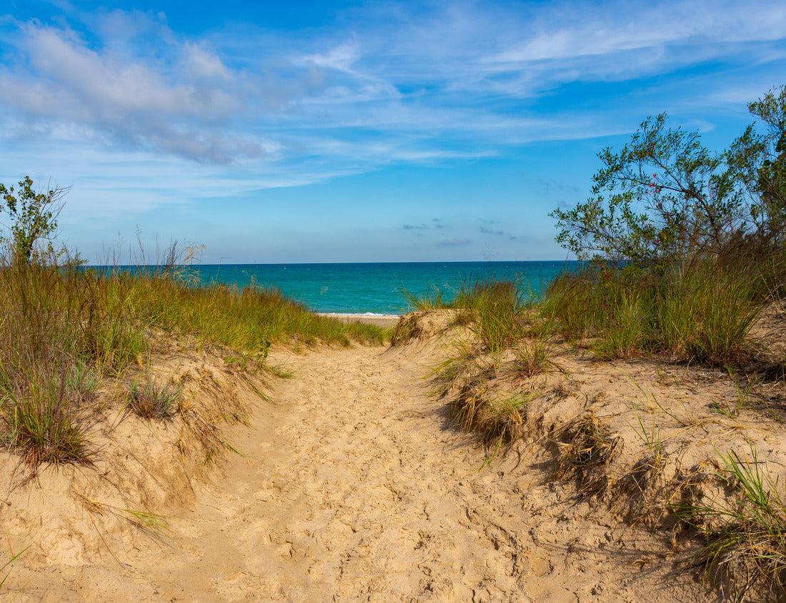 Noah Jigsaw Puzzle Pathway to Kemil Beach on a beautiful September morning. Indiana Dunes National Park, Indiana, USA 1000 Pieces