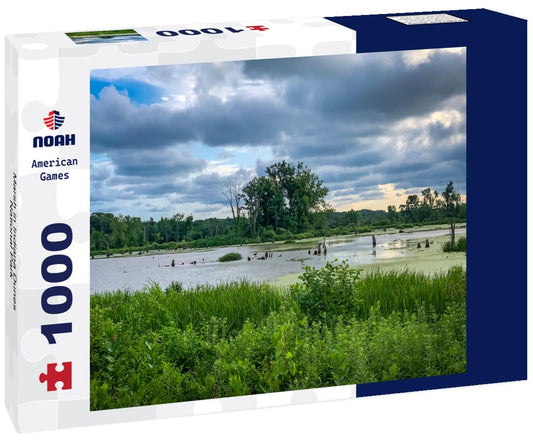 Noah Jigsaw Puzzle Marsh in Indiana Dunes National Park 1000 Pieces
