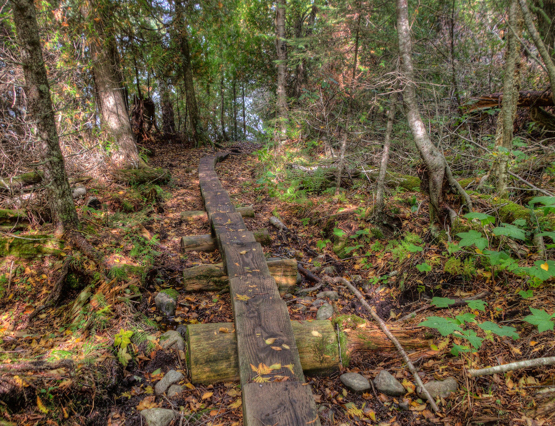 Noah Jigsaw Puzzle Isle Royale National Park is an Isolated Island in Lake Superior between Minnesota and Michigan 1000 Pieces