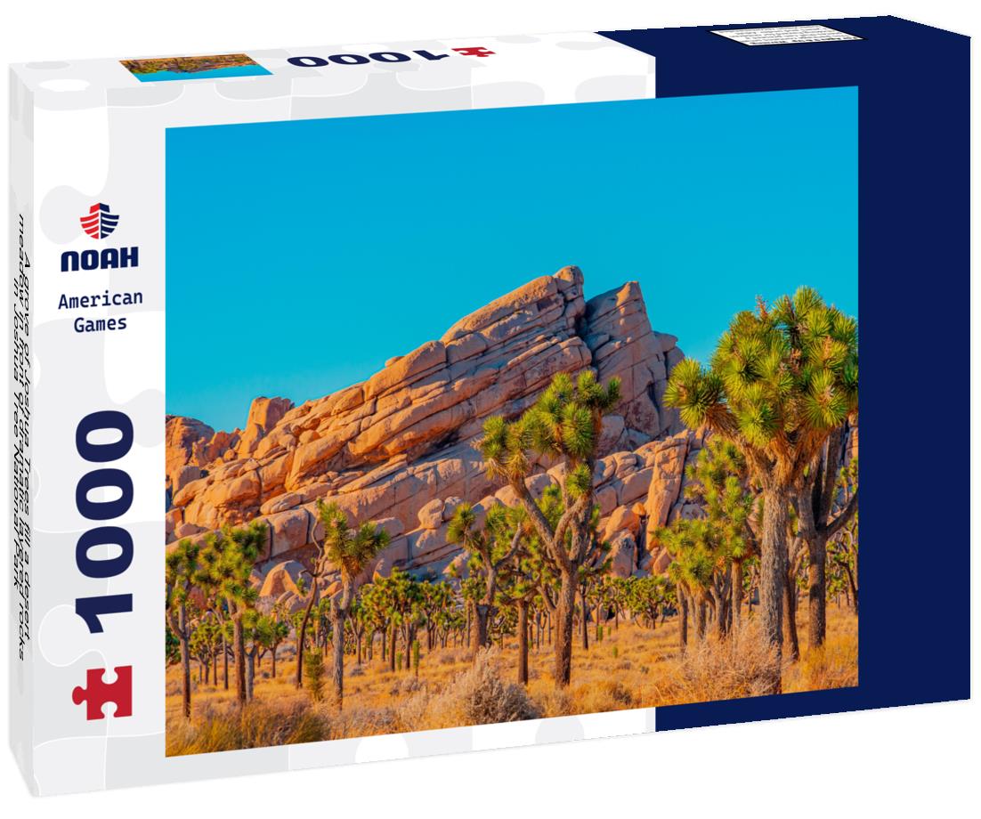 Noah Jigsaw Puzzle A grove of Joshua Trees fill a desert meadow in front of dramatic layered rocks in Joshua Tree National Park 1000 Pieces