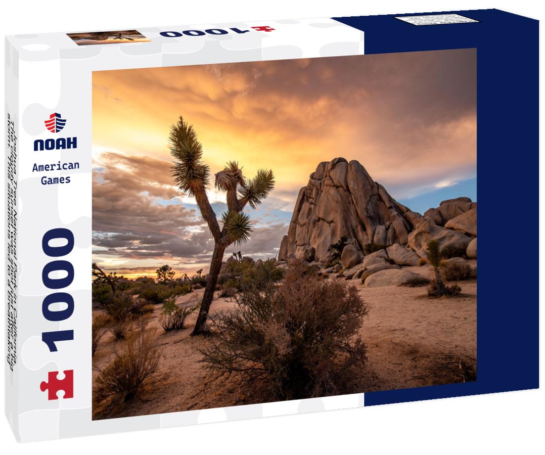 Noah Jigsaw Puzzle Joshua Tree National Park in California. The cloudy sunset was shot just after a big storm. This situations led to a breathtaking cloudy sky that took fire during sunset 1000 Pieces