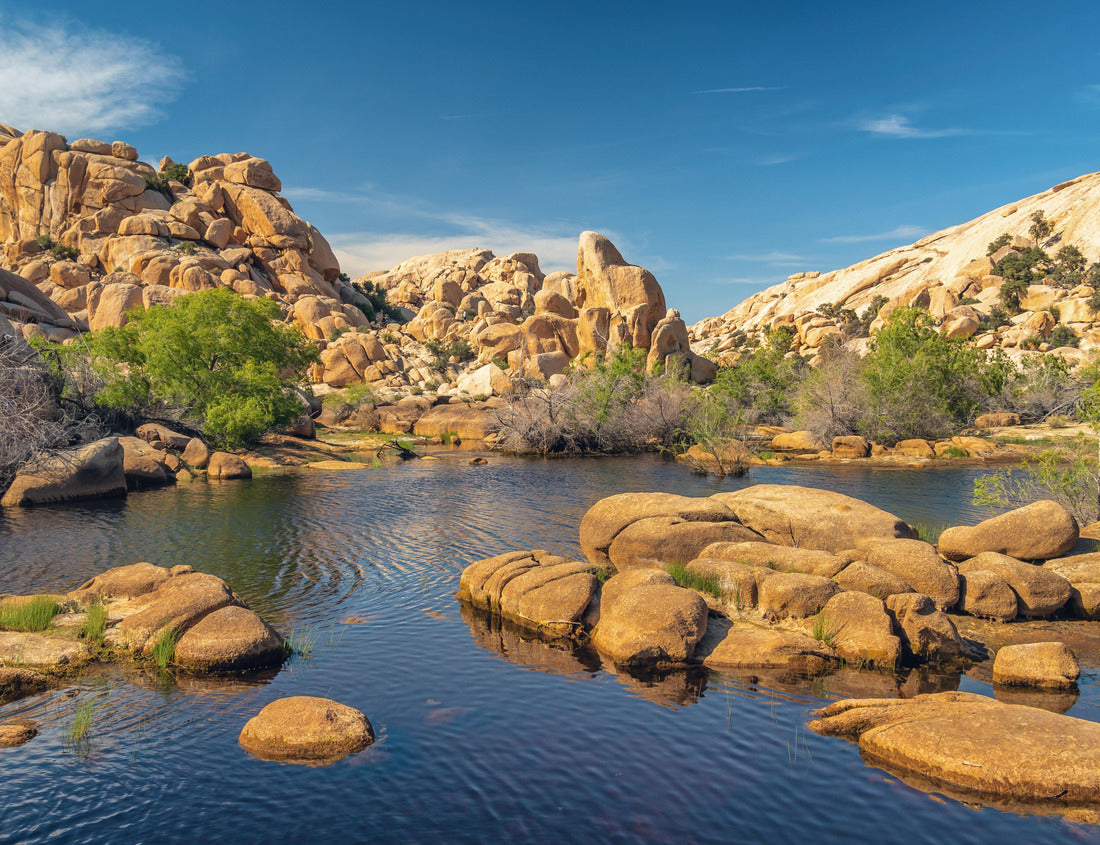 Noah Jigsaw Puzzle Joshua Tree National Park, California. The wonderland of rocks and reservoir above the Barker Dam 1000 Pieces