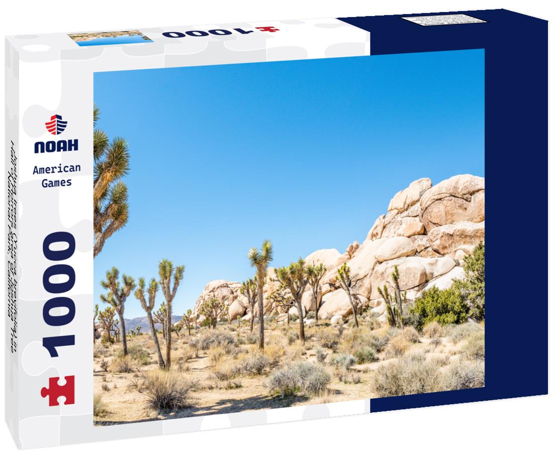 Noah Jigsaw Puzzle Joshua trees (Yucca brevifolia) in Hall of Horrors area of Joshua Tree National Park, California 1000 Pieces