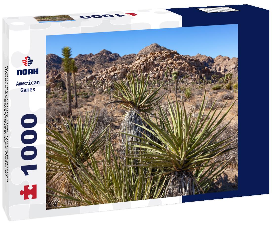 Noah Jigsaw Puzzle Branches Joshua Tree Yucca Brevifolia Mojave Desert Joshua Tree National Park California 1000 Pieces