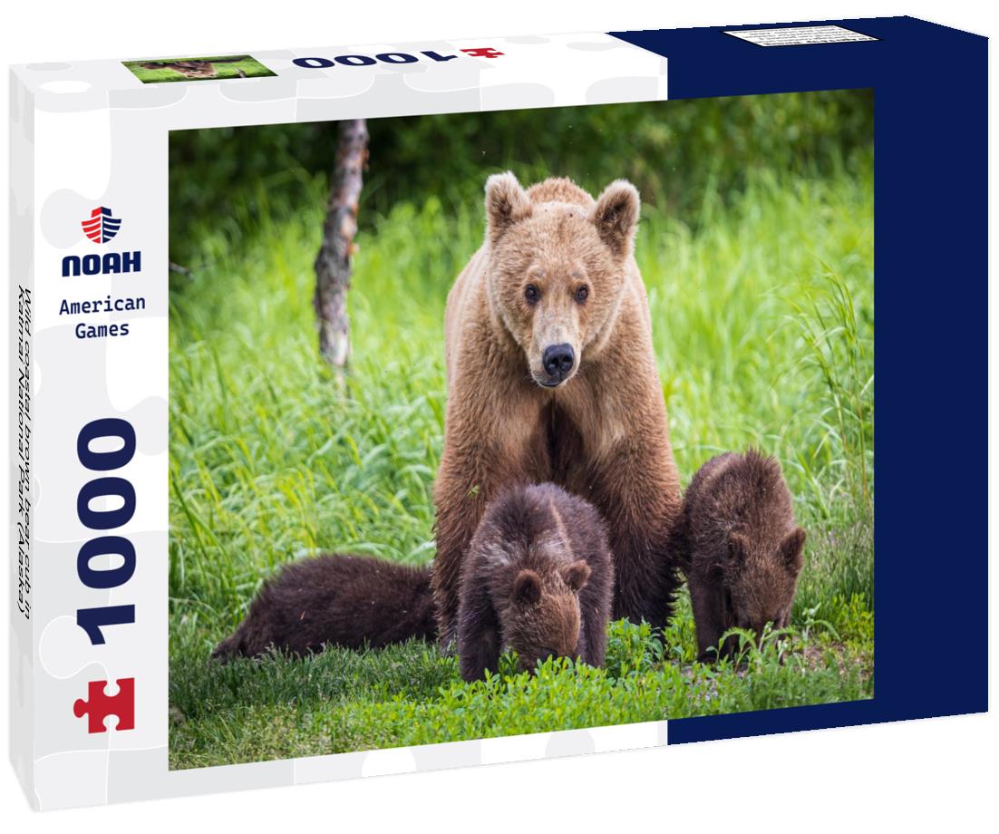 Wild coastal brown bear cub in Katmai National Park (Alaska) 1000pc Puzzle