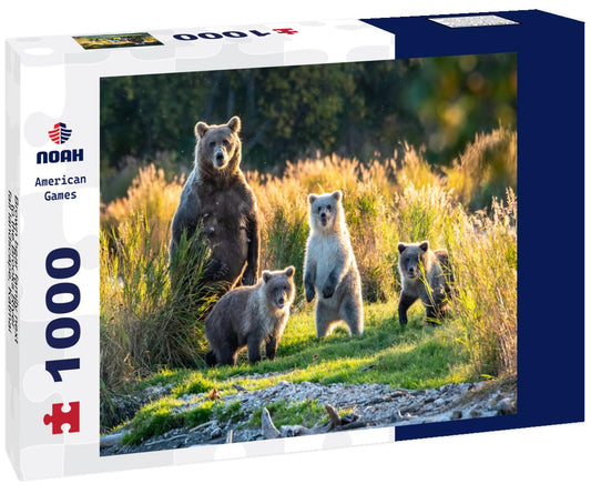 Noah Jigsaw Puzzle Brown bear family next to the Brooks River, fall landscape, Katmai National Park, Alaska 1000 Pieces