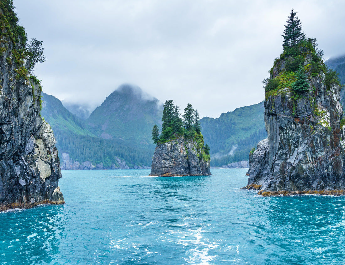 Noah Jigsaw Puzzle Blue waters and tree covered rocks jutting out of water on a cloudy morning at Porcupine bay at Kenai Fjords National Park, Alaska 1000 Pieces