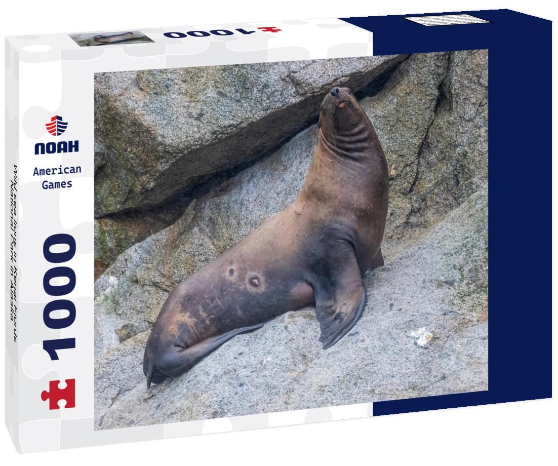 Wild sea lions in Kenai Fjords National Park in Alaska 1000pc Puzzle