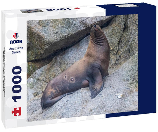 Noah Jigsaw Puzzle Wild sea lions in Kenai Fjords National Park in Alaska 1000 Pieces