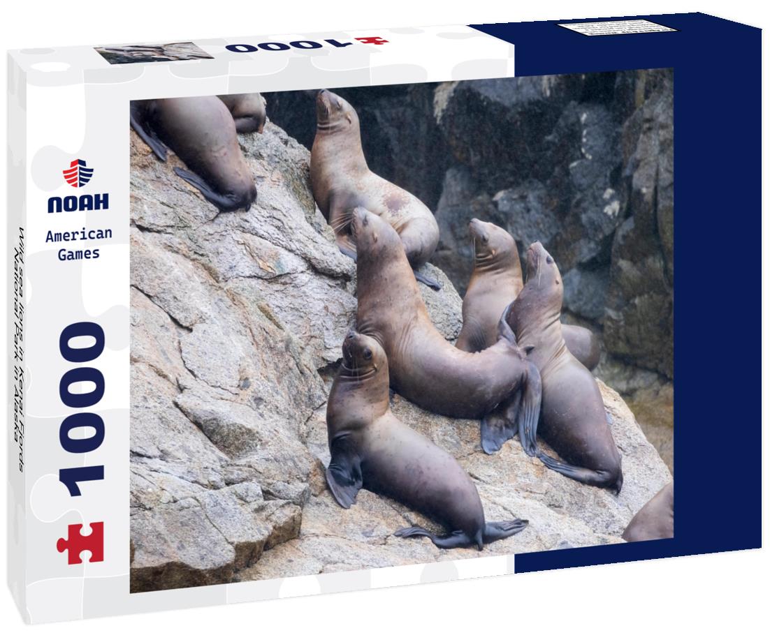 Noah Jigsaw Puzzle Wild sea lions in Kenai Fjords National Park in Alaska 1000 Pieces