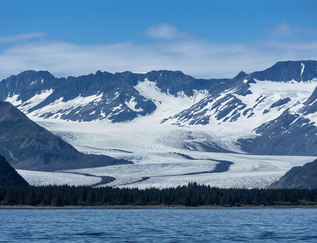 Noah Jigsaw Puzzle Bear Glacier at Kenai Fjords National Park 1000 Pieces