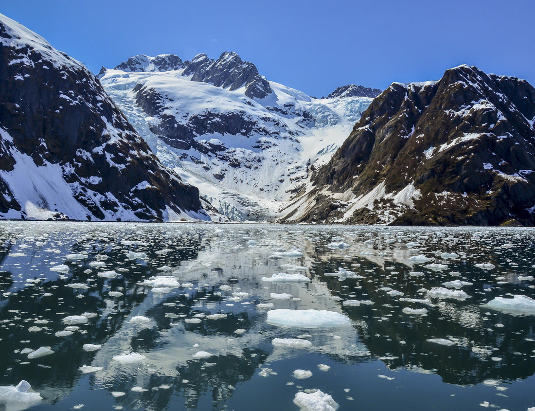 Noah Jigsaw Puzzle Tidewater glacier in Kenai Fjords National Park 1000 Pieces