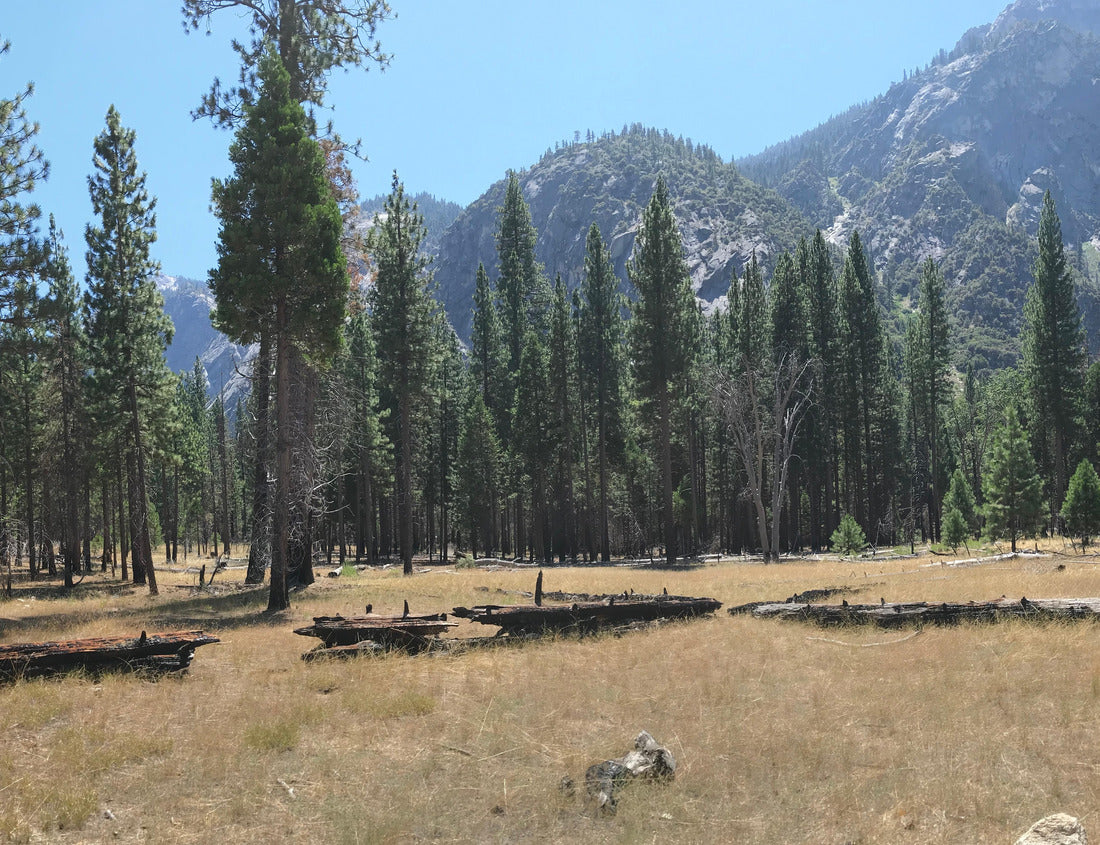 Noah Jigsaw Puzzle Kings Canyon National Park in Southern California 1000 Pieces