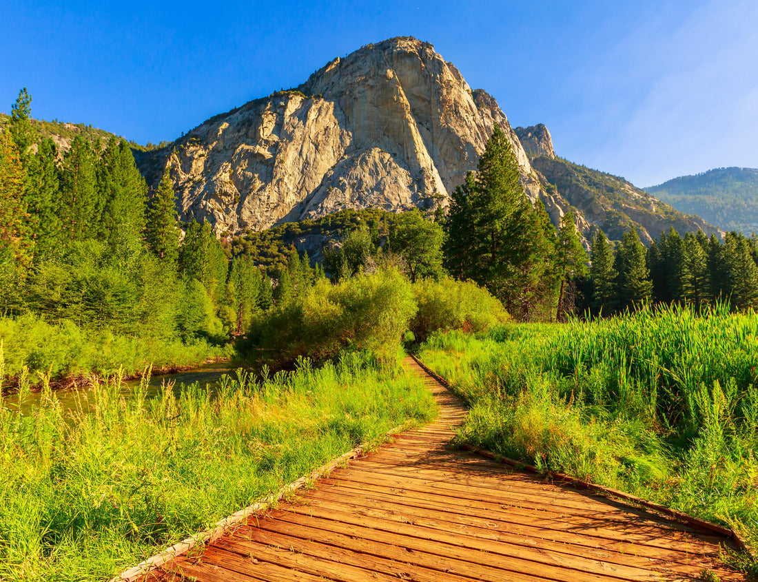 Noah Jigsaw Puzzle Panorama of Zumwalt Meadows hiking in Kings Canyon National Park, a large grassland in the forest with wildflowers with the surrounding towering cliffs of Kings Canyon 1000 Pieces