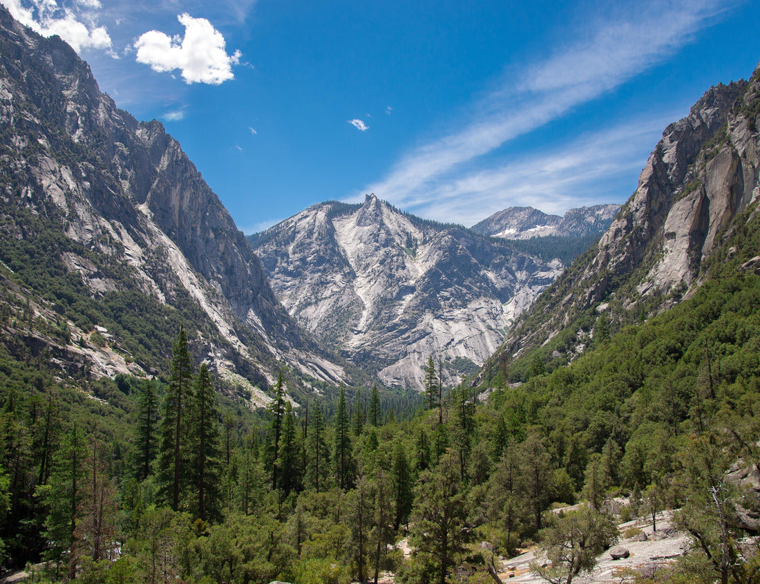 Noah Jigsaw Puzzle Kings Canyon National Park California 1000 Pieces