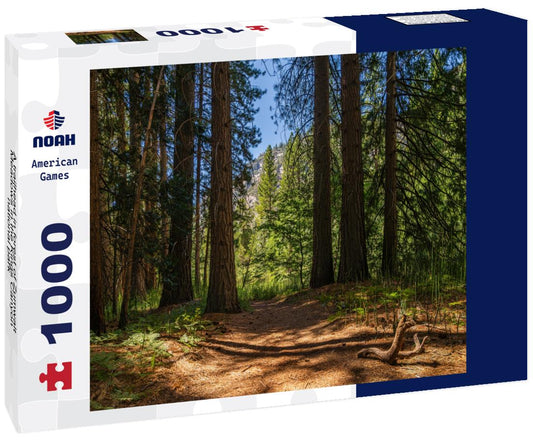 Noah Jigsaw Puzzle A trailhead in forest of Zumwalt Meadows in the Kings Canyon national park 1000 Pieces