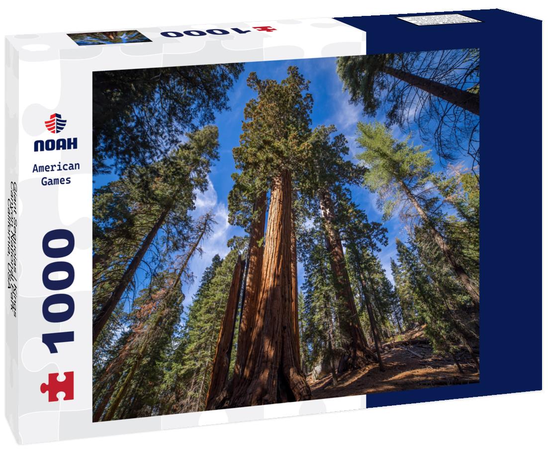 Noah Jigsaw Puzzle Giant Sequoias | Kings Canyon National Park, California, USA 1000 Pieces