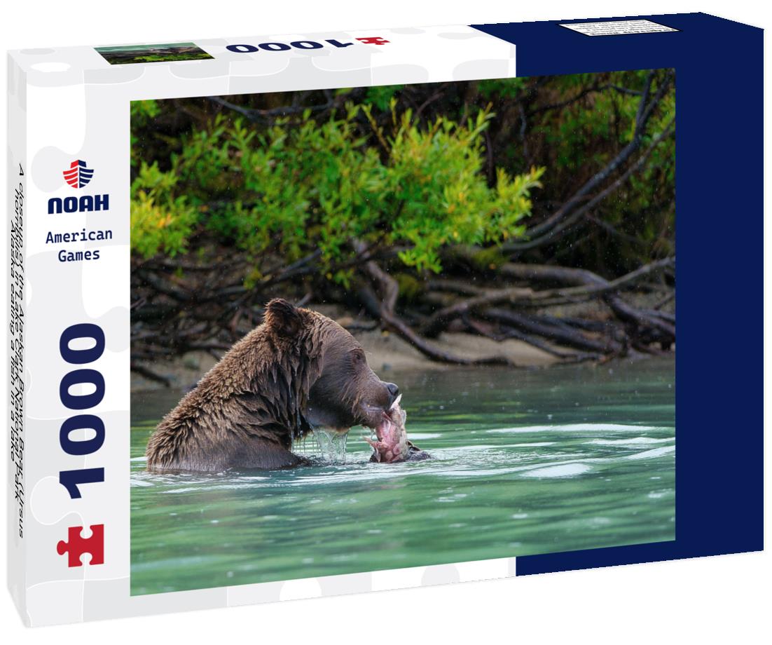 Noah Jigsaw Puzzle A closeup of the Alaskan Brown Bear (Ursus horribilis) in Lake Clark National Park Alaska eating a fish in a lake 1000 Pieces