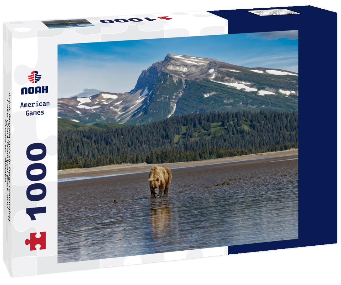 Noah Jigsaw Puzzle Adult female grizzly bear clamming, Lake Clark National Park and Preserve, Alaska 1000 Pieces