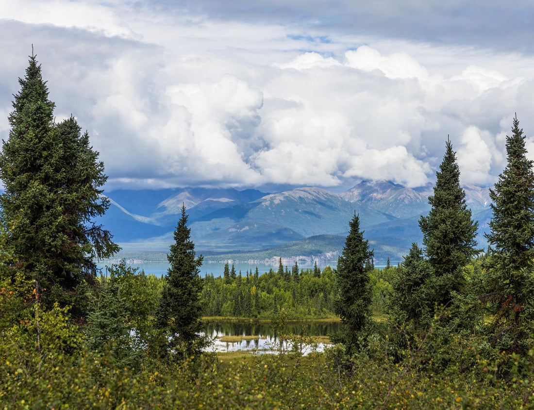 Noah Jigsaw Puzzle Beautiful landscape view of Lake Clark National Park near Port Alsworth in Alaska 1000 Pieces