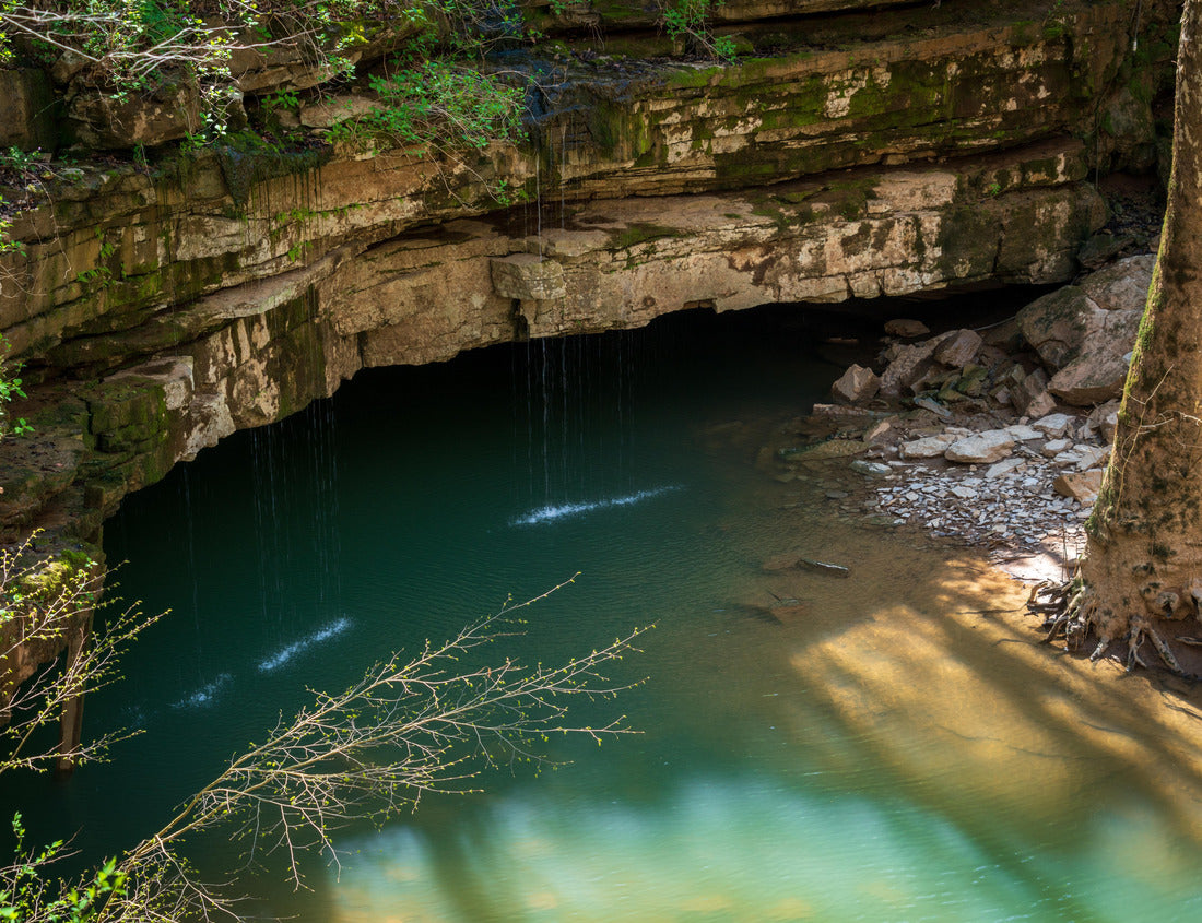 Noah Jigsaw Puzzle Mammoth Cave National Park in Kentucky 1000 Pieces