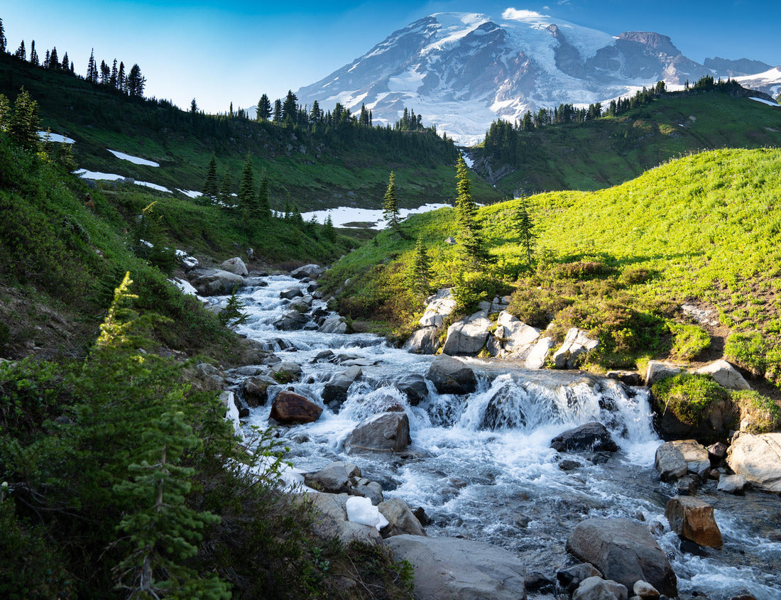 Noah Jigsaw Puzzle Myrtle Falls in Mount Rainier National Park in Washington State 1000 Pieces