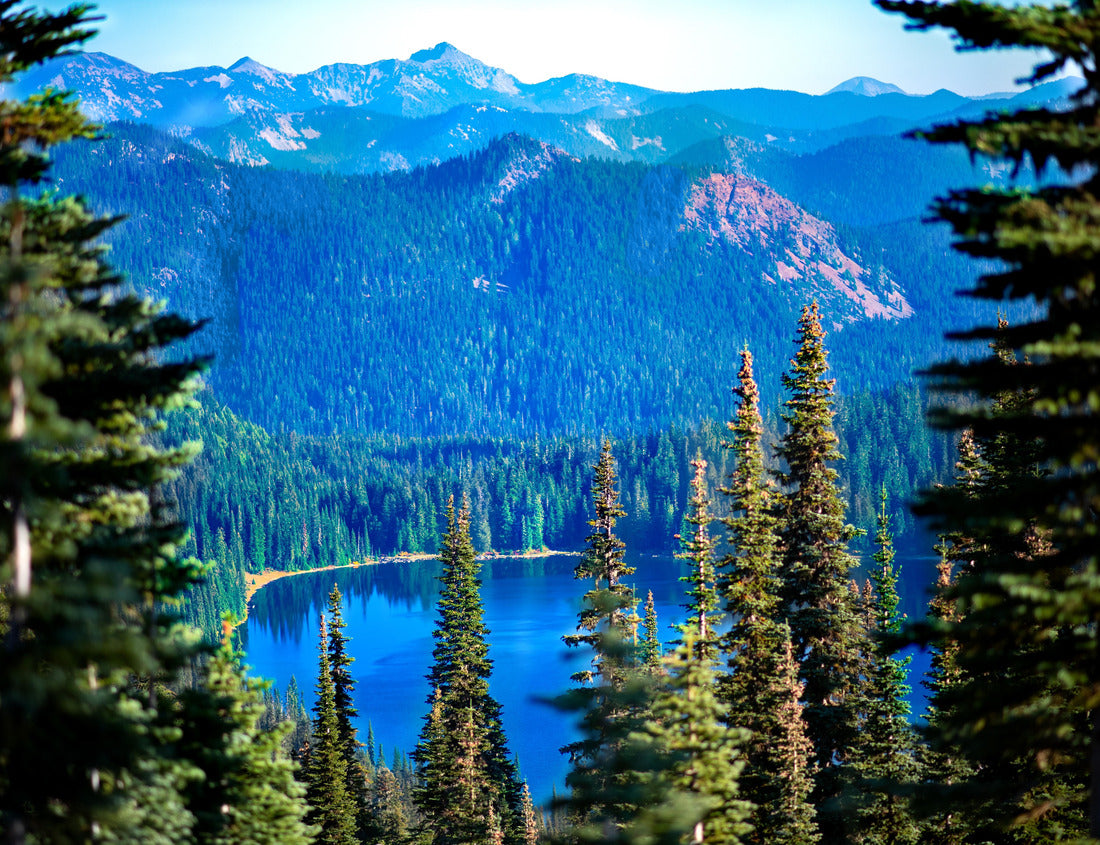 Noah Jigsaw Puzzle Mount Rainier National Park, Washington State 1000 Pieces