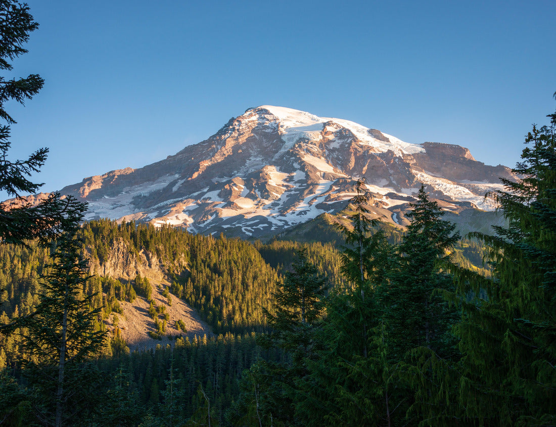 Noah Jigsaw Puzzle View of Forest and Snow Capped Mountain at Mount Rainier National Park in Washington State, USA 1000 Pieces
