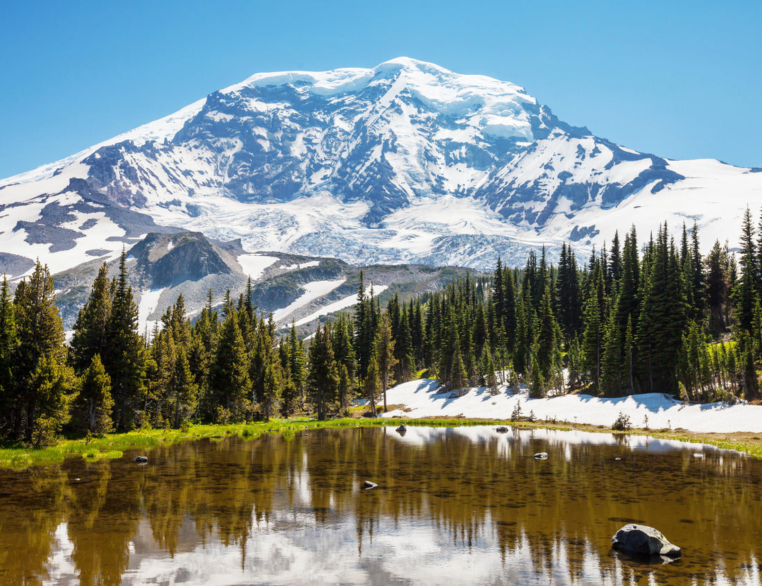 Noah Jigsaw Puzzle Mount Rainier national park, Washington 1000 Pieces