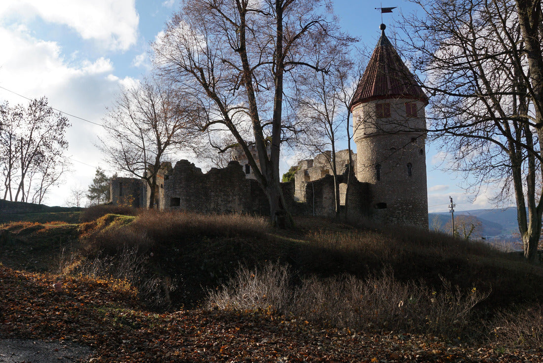 Honburg Castle in Tuttlingen, southern Germany 2000pc Puzzle