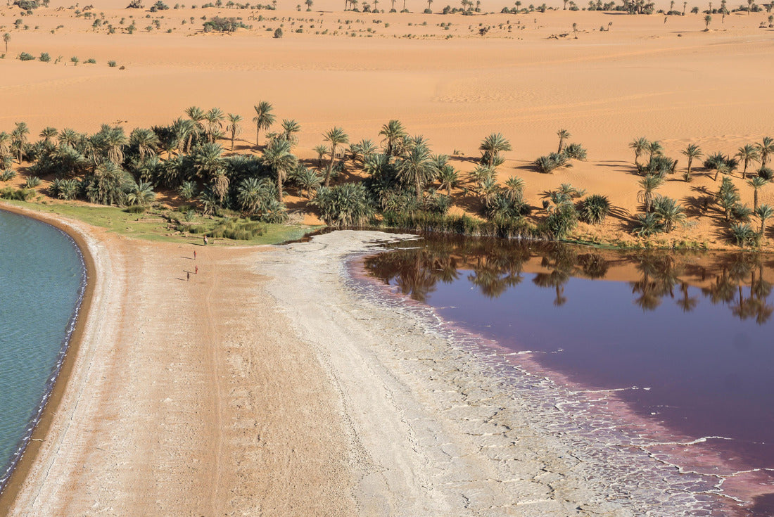 Noah Jigsaw Puzzle View of the Demi saltwater lagoon in the Lakes of Ounianga, Chad, Africa 2000 pieces
