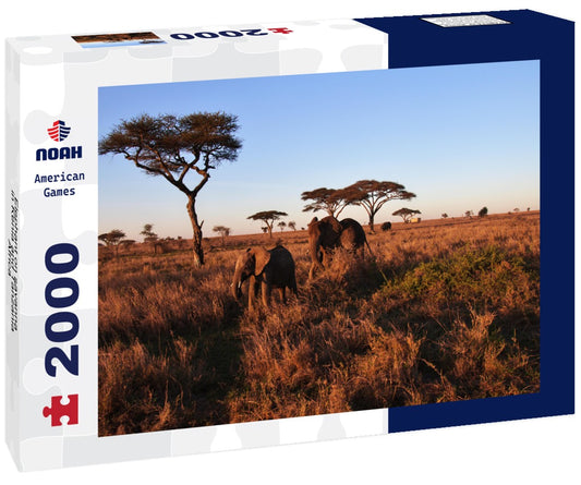 Noah Jigsaw Puzzle Elephant on savanna in Kenia and Tanzania, Africa 2000 pieces