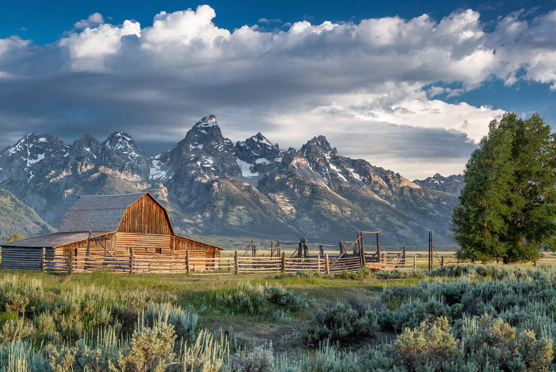 Noah Jigsaw Puzzle Mormon Row in Grand Teton National Park, Wyoming 2000 pieces