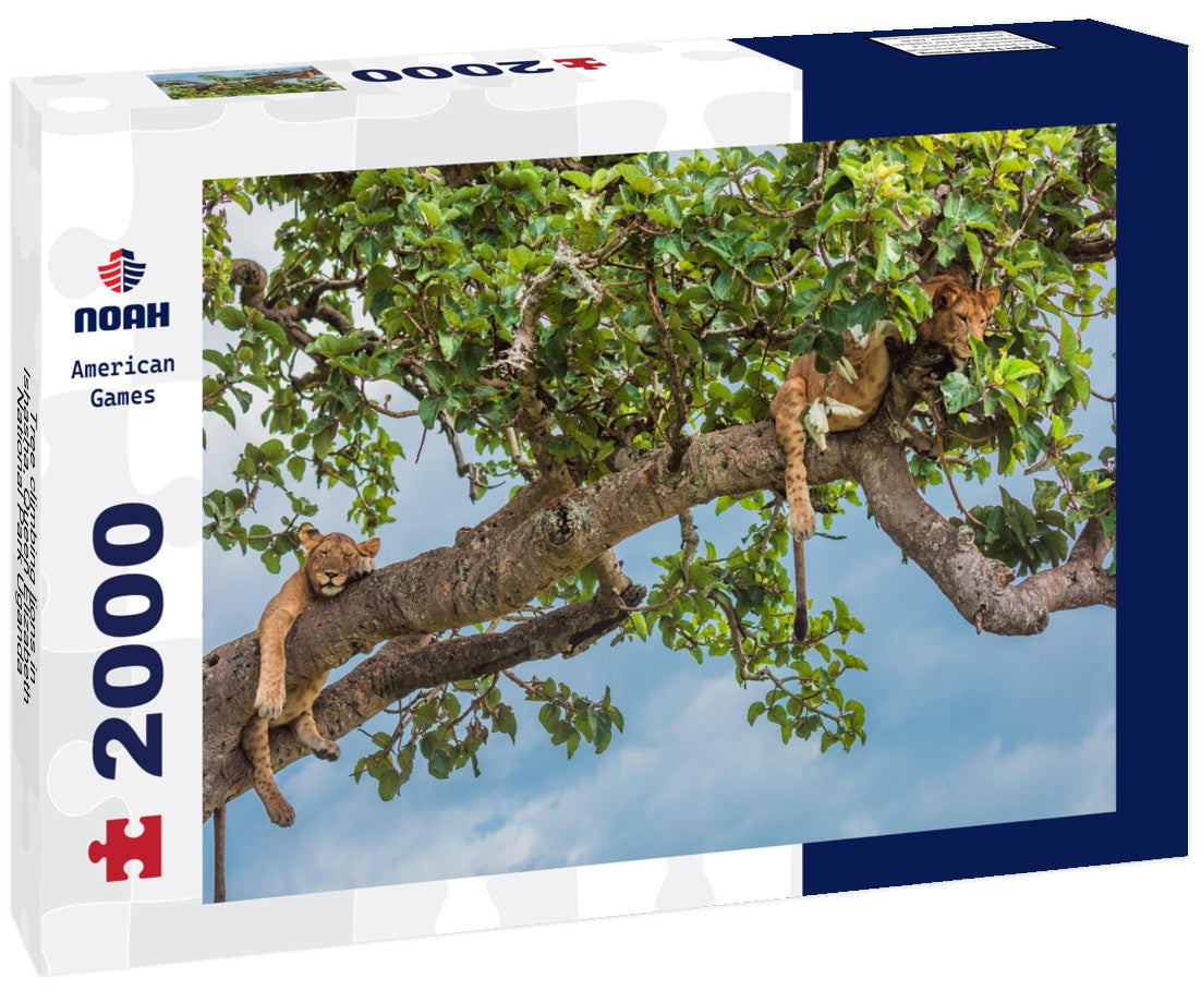 Tree climbing lions in Ishasha, Queen Elizabeth National Park Uganda 2000pc Puzzle