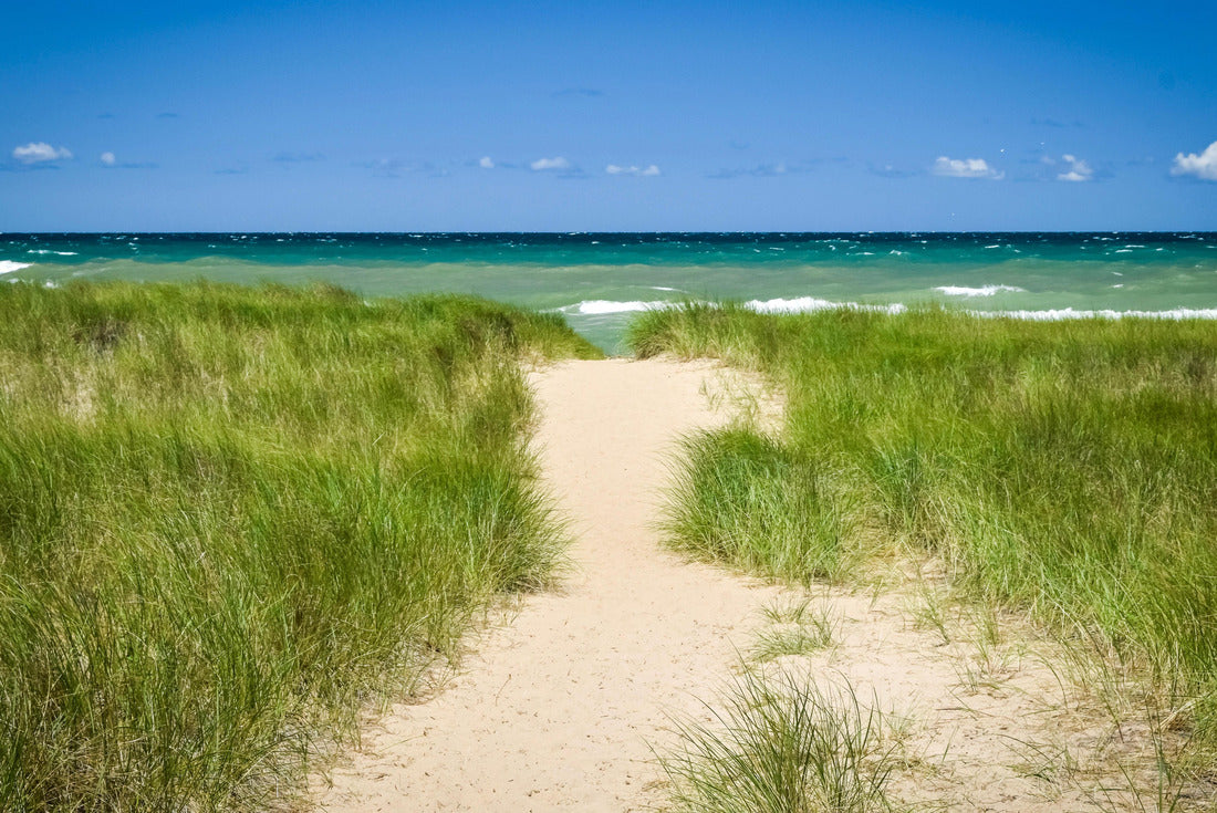 Lake Michigan in Indiana Dunes National Park 2000pc Puzzle
