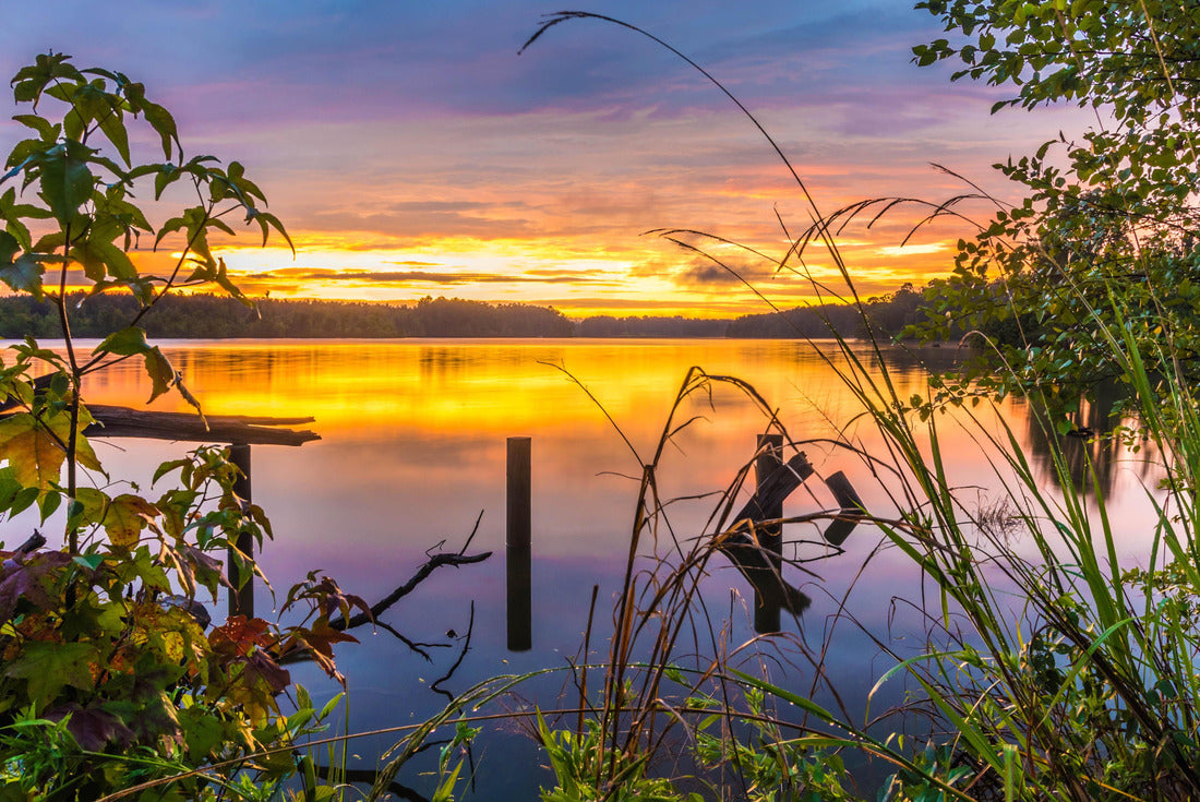 Evening at Elvis Presley Lake Elvis Presley Lake is a 322 acre lake located in Lee County, outside of Tupelo, Mississippi 2000pc Puzzle