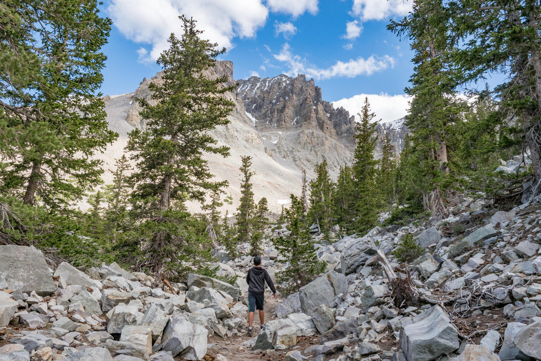 Boy hiking in ancient bristlecone pine forest in Great Basin National Park, Baker, Nevada, USA 2000pc Puzzle