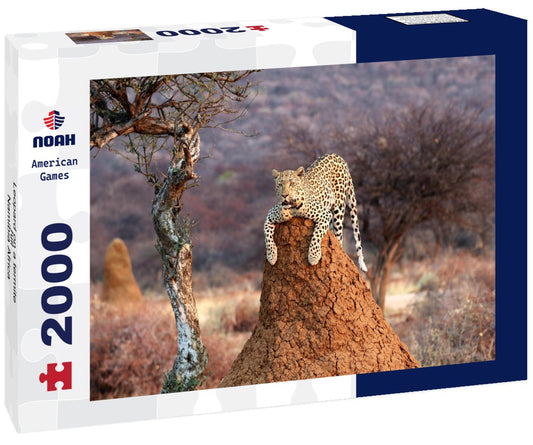Noah Jigsaw Puzzle Leopard on a termite hill - Namibia Africa 2000 pieces