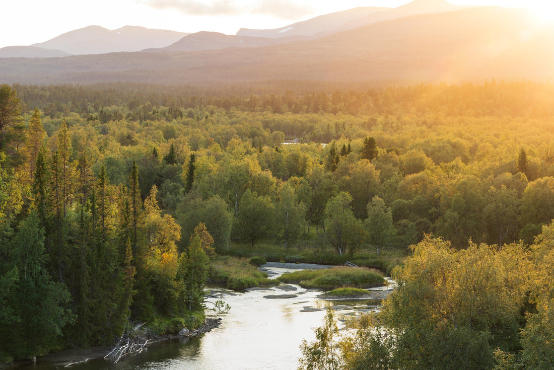 The sun setting over a river in a forest wilderness. Jamtland, Sweden 2000pc Puzzle