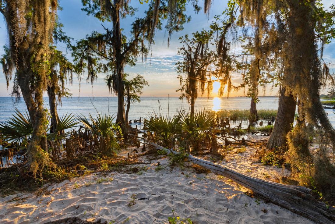 Fontainebleau State Park is a beautiful park in Louisiana 2000pc Puzzle