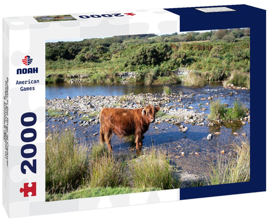 Noah Jigsaw Puzzle Buffalo in the River at Cadover bridge, Devon, England on a summers day 2000 pieces
