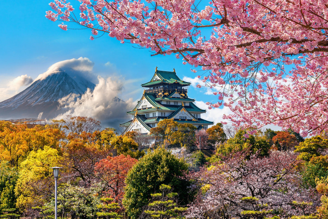 Osaka Castle and full cherry blossom, with Fuji mountain background, Japan 2000pc Puzzle