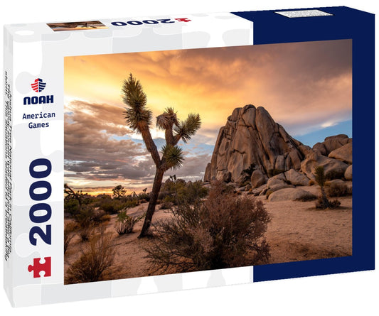 Noah Jigsaw Puzzle Joshua Tree National Park in California. The cloudy sunset was shot just after a big storm. This situations leaded to a breathtaking cloudy sky that took fire during sunset 2000 pieces
