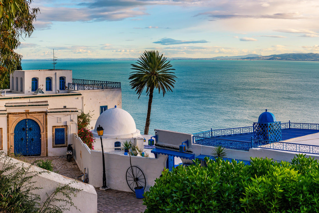 Noah Jigsaw Puzzle Sidi Bou Said Town in Tunisia Known for extensive use of blue and white 2000 pieces